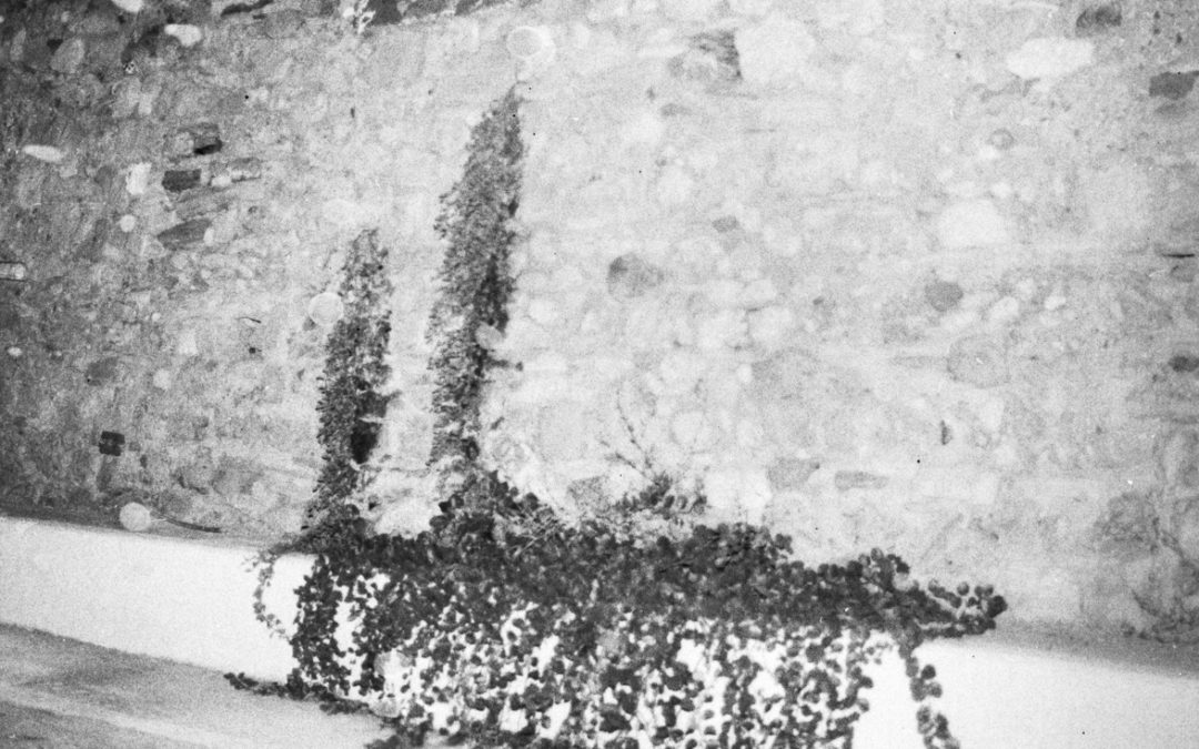 nick verhaeghe representation 3